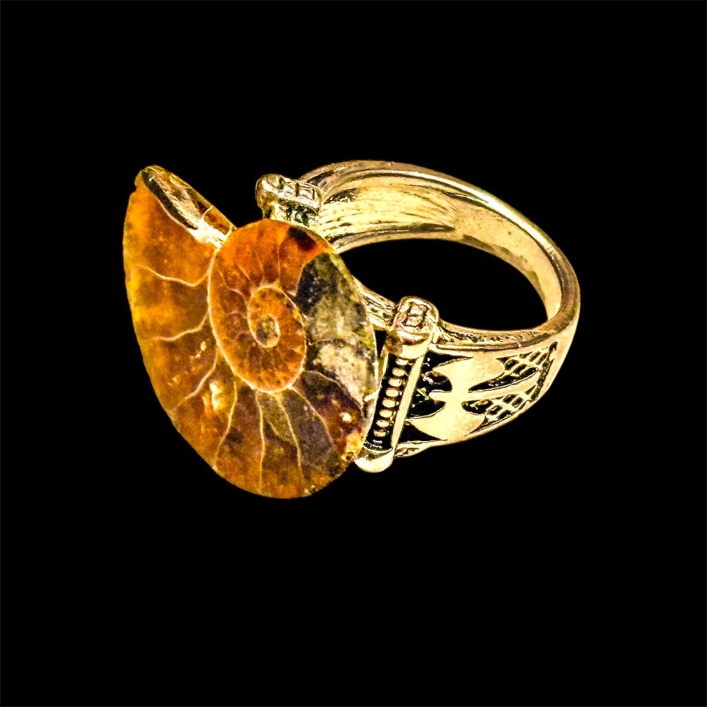 Hand Crafted Ammonite Fossil Ring Size 7.5